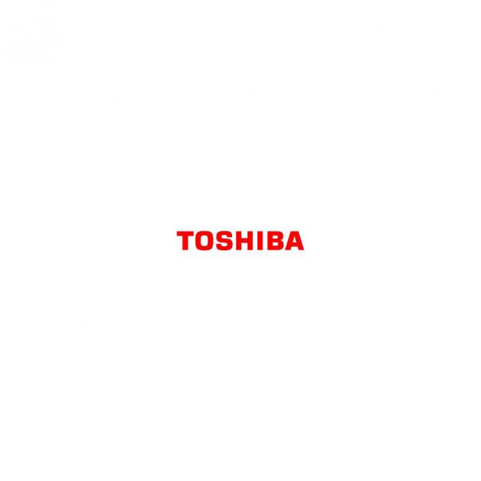 TOSHIBA 6AJ00000249