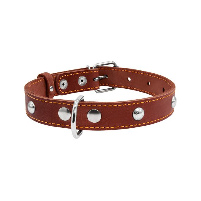 Collar 02236