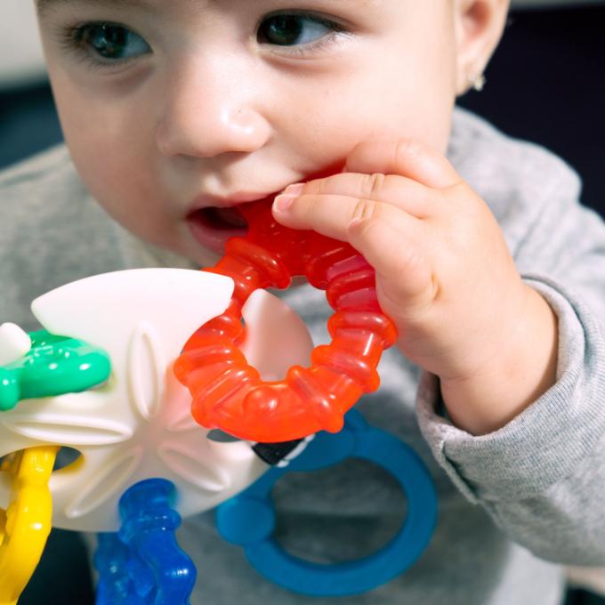 Baby Einstein 13158