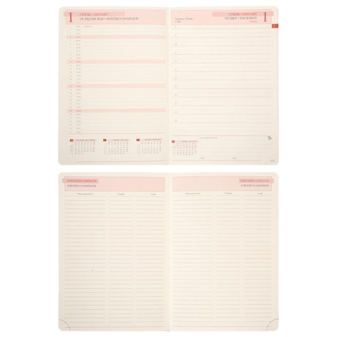 Leo planner 252671