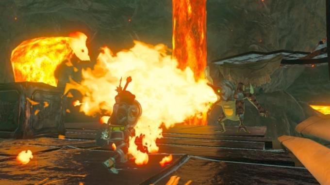 Nintendo 045496420055