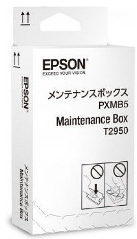 EPSON C13T295000