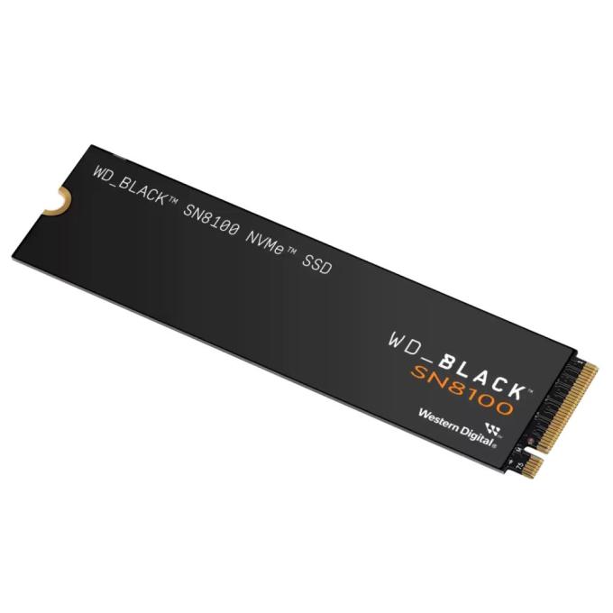 WD WDS100T1X0M