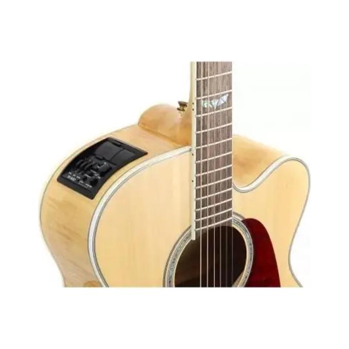 Takamine 219478