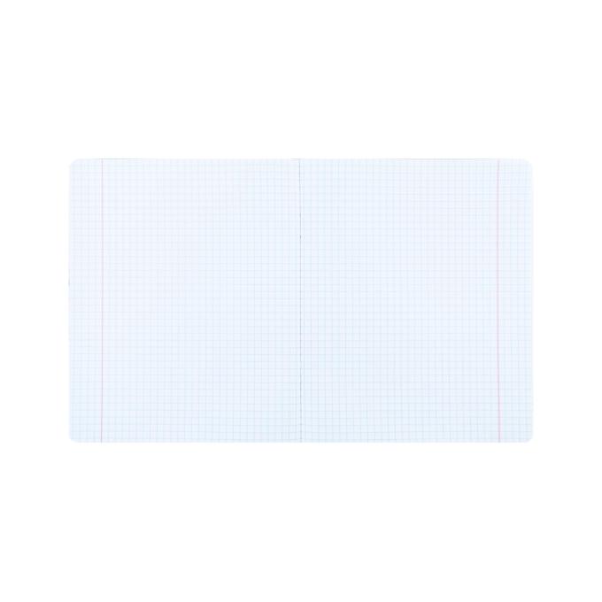 Kite AV24-236