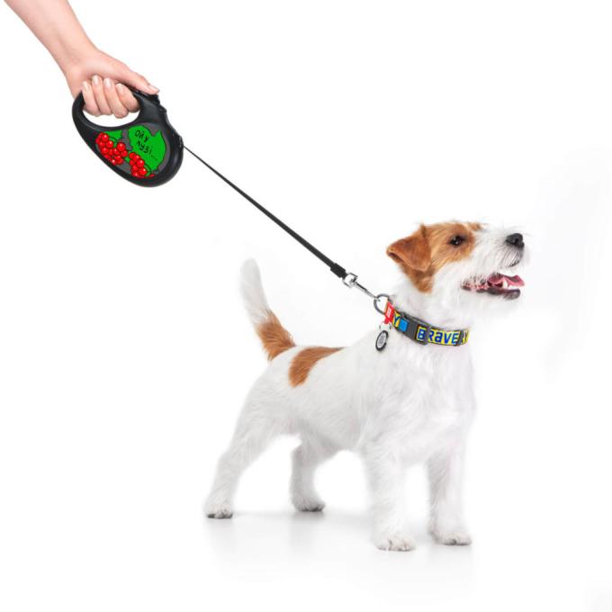 WAUDOG 8126-0228-01