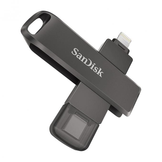 SANDISK SDIX70N-256G-GN6NE