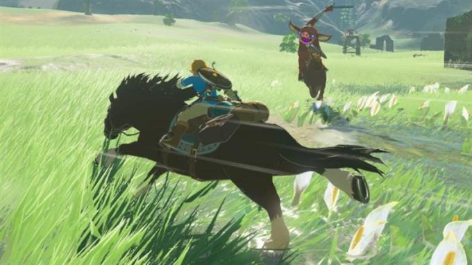 Nintendo 045496420055