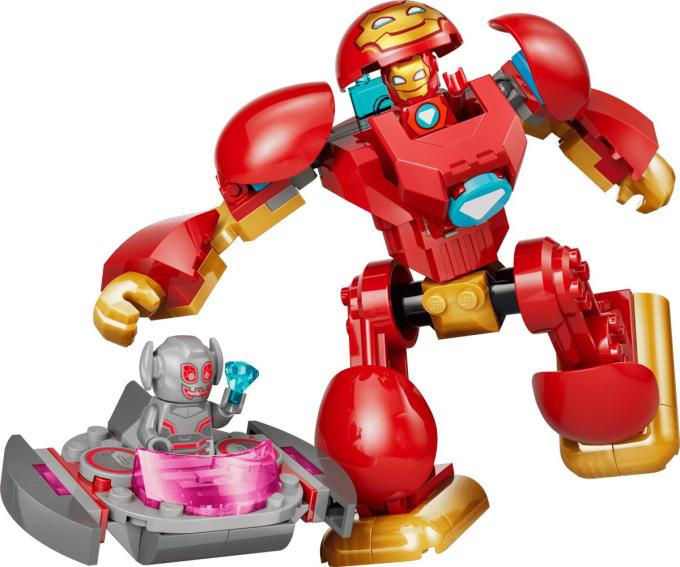 LEGO 11209
