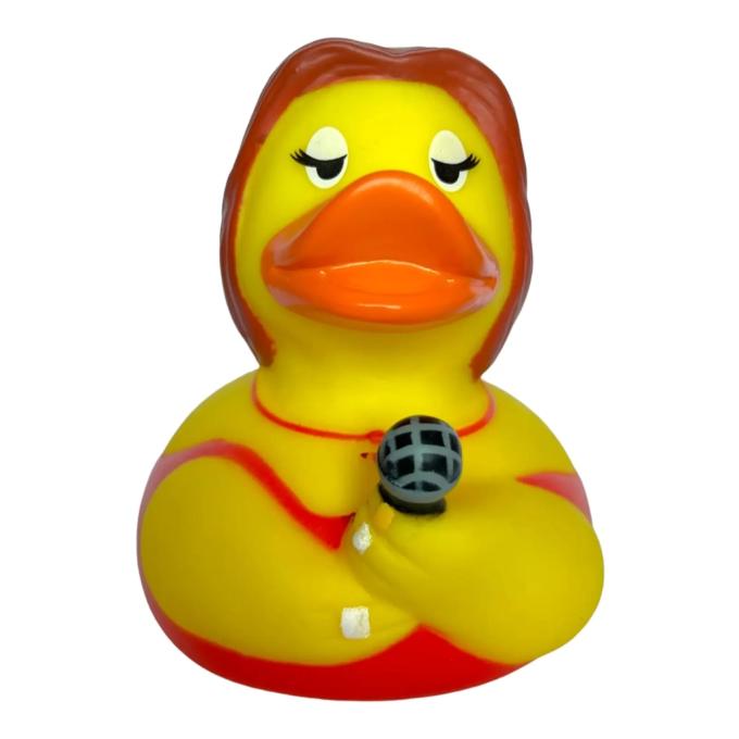 Funny Ducks 1331