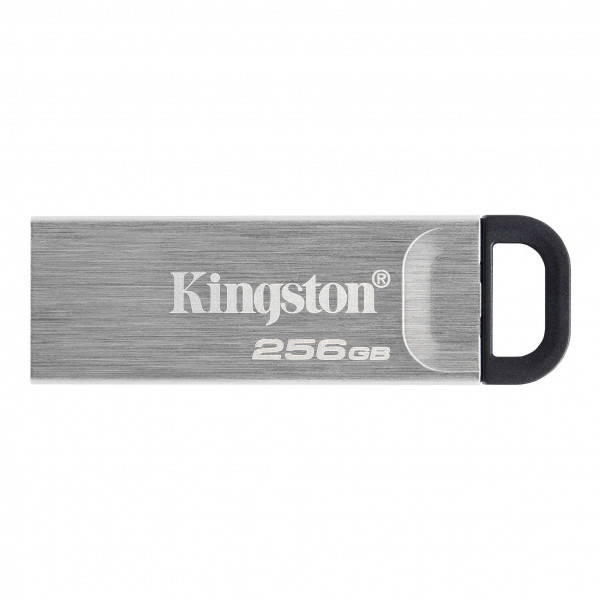 Kingston DTKN/256GB#