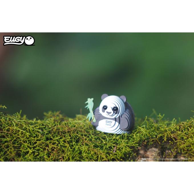 Eugy XEG-013