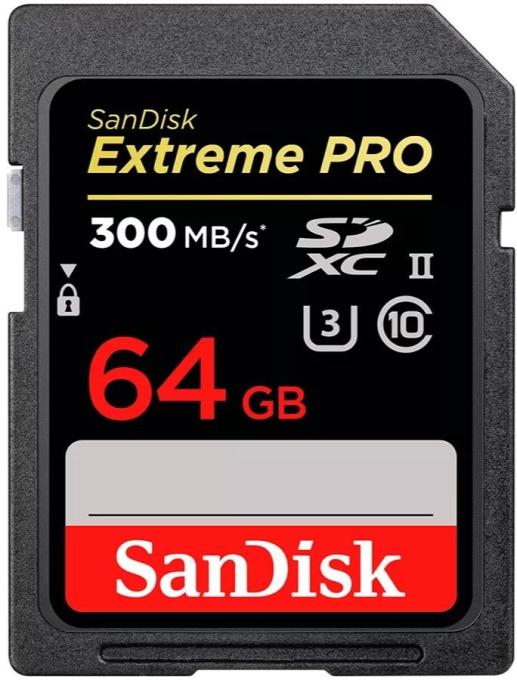 SANDISK SDSDXEP-064G-GN4IN