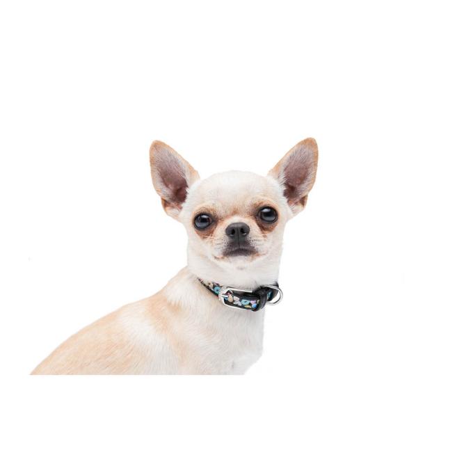 WAUDOG 37151