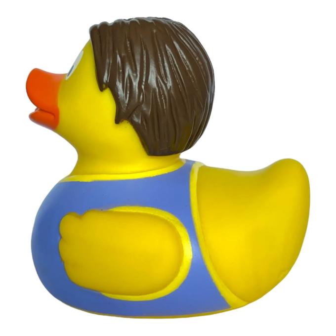 Funny Ducks 1329