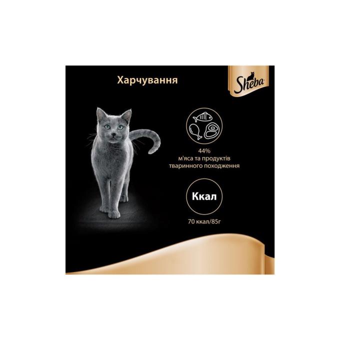 Sheba 4770608257170