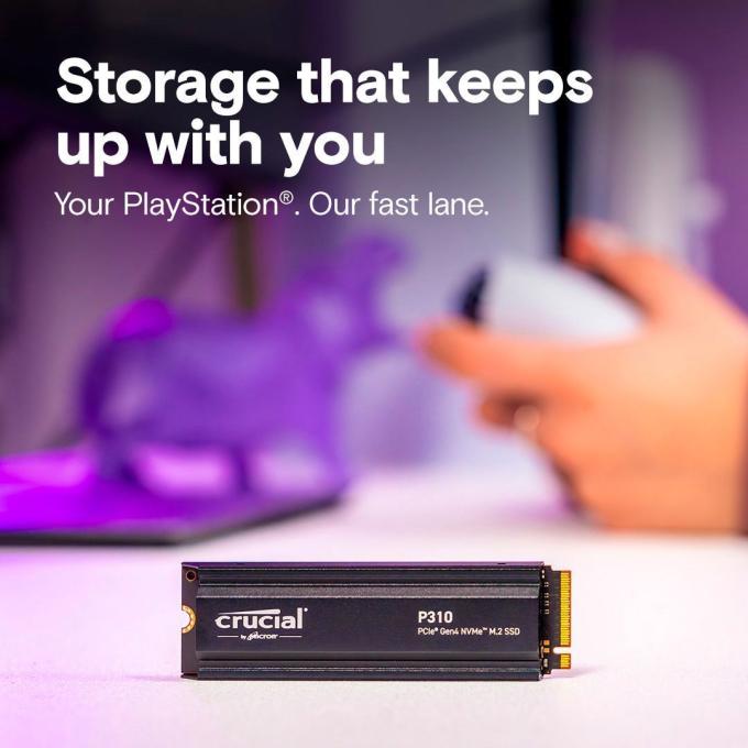 Micron CT1000P310SSD5