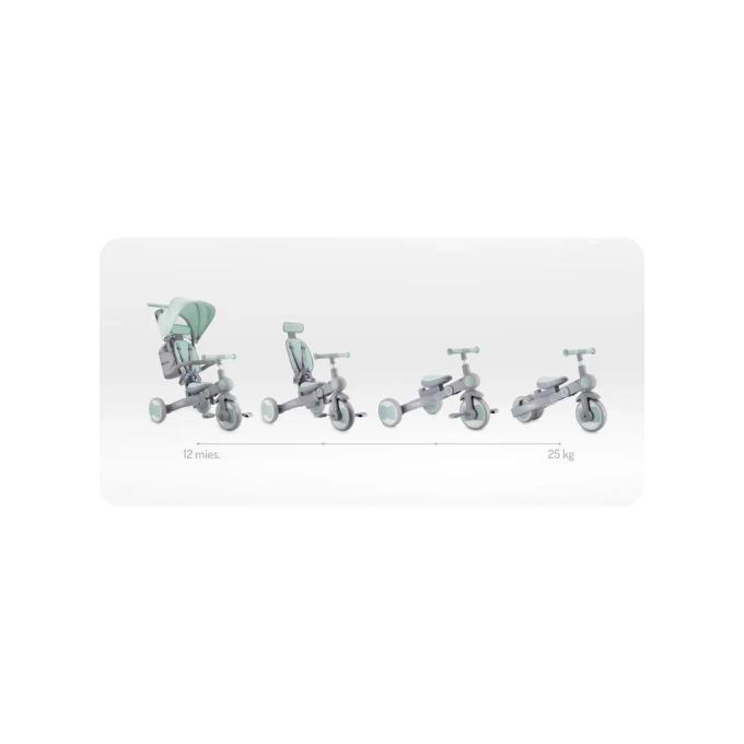 MoMi ROTR00018