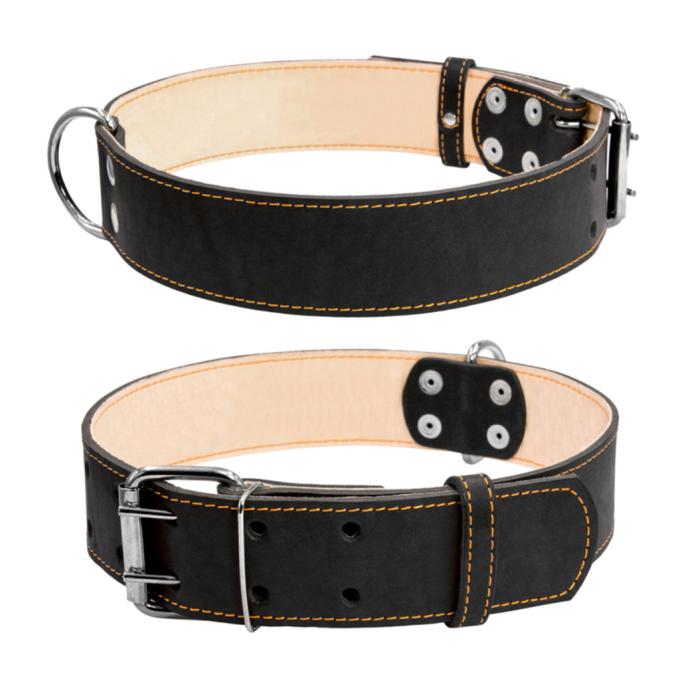 Collar 03591