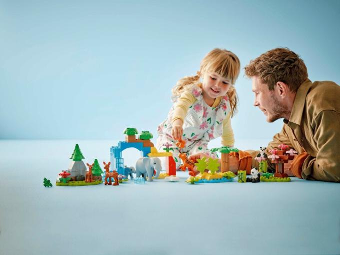 LEGO 10446
