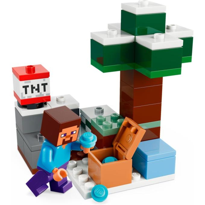 LEGO 21583