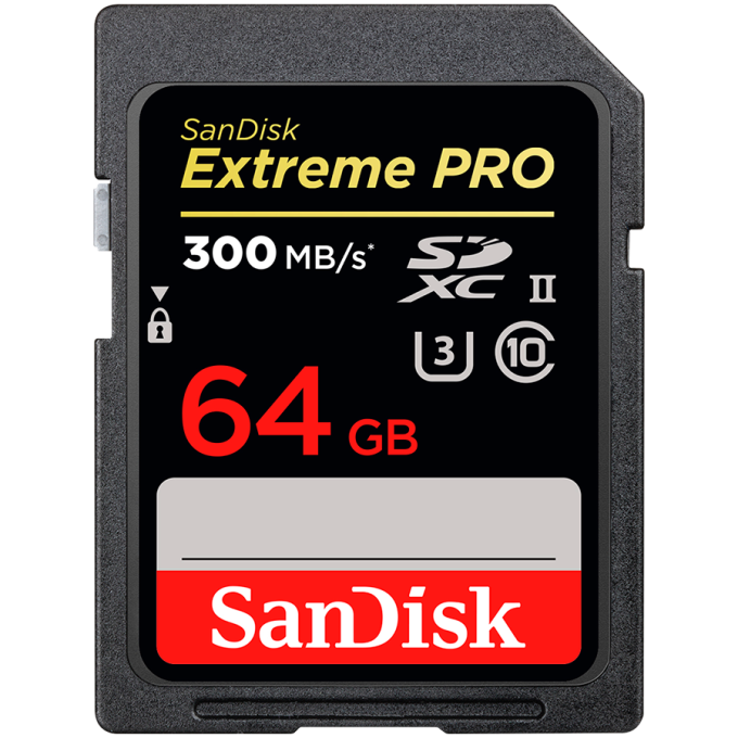 SANDISK SDSDXEP-064G-GN4IN