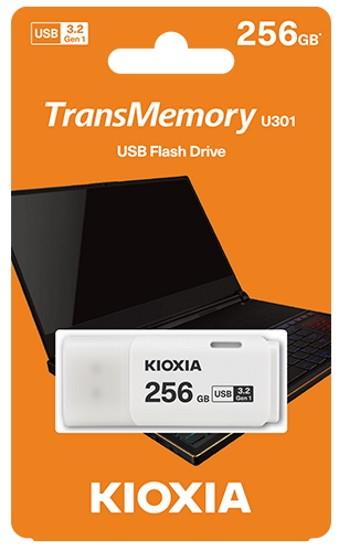 Kioxia LU301W256GG4