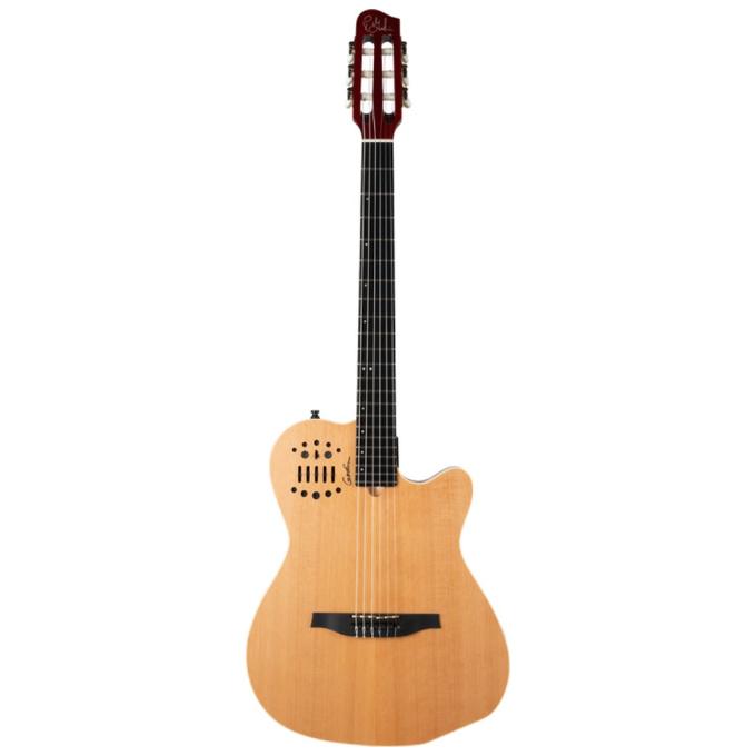 Godin 235922