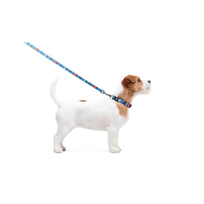 WAUDOG 4597