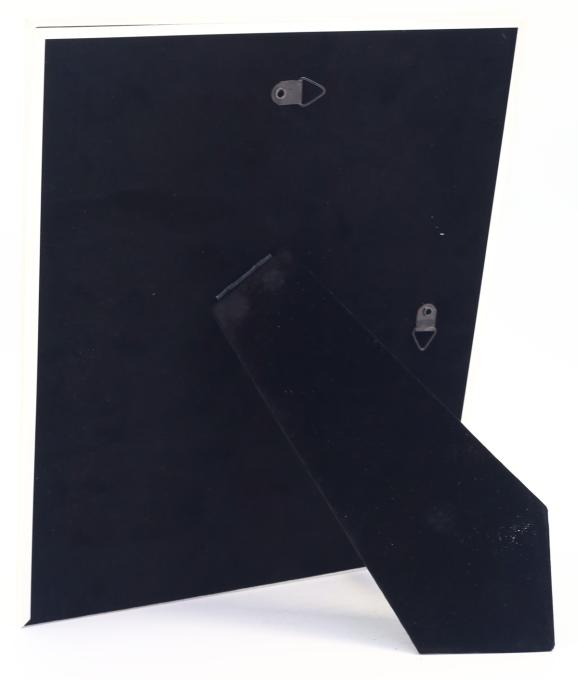 EVG 10X15 S04 Silver