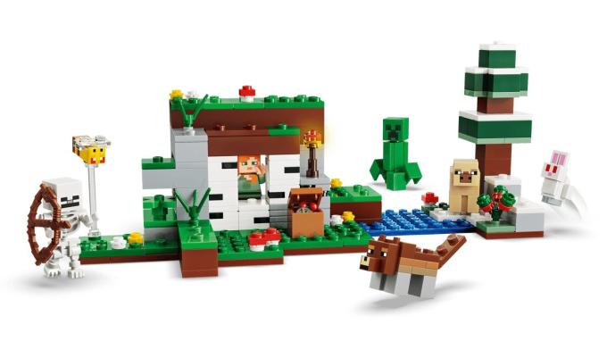 LEGO 21593