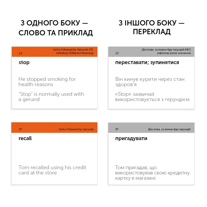 English Student 591225993