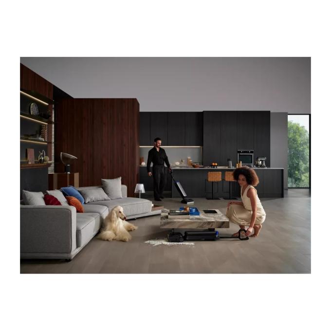 Tineco FW2C0700DE