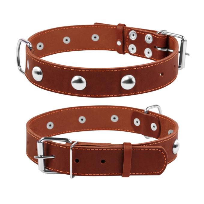 Collar 02716
