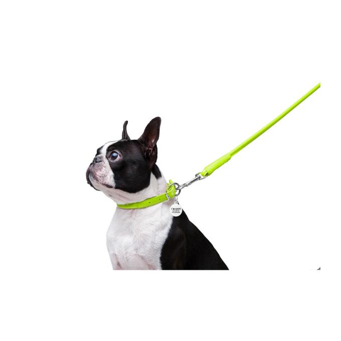 WAUDOG 33775