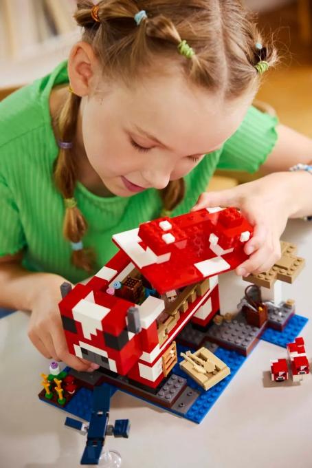LEGO 21270