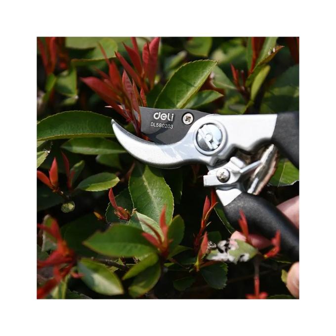 DELI DL580203