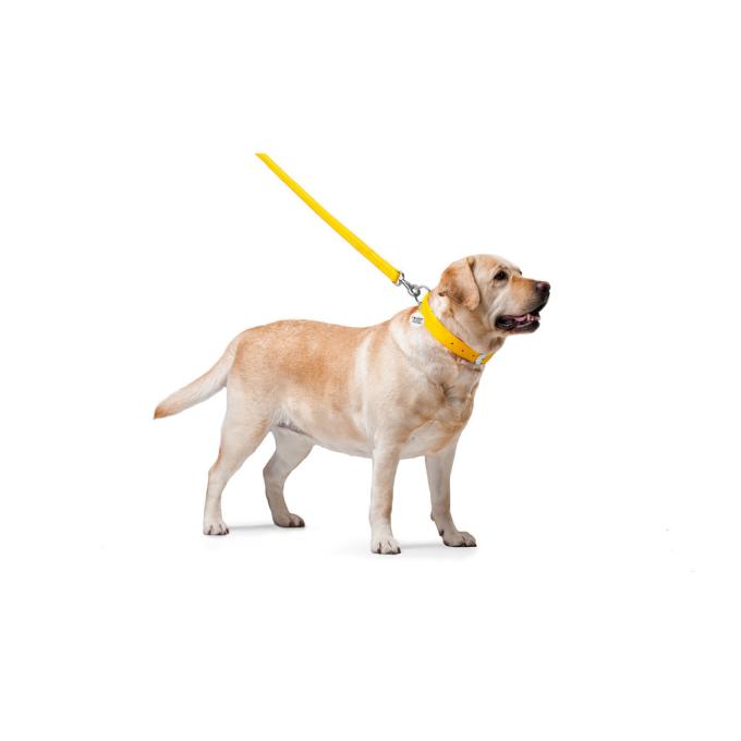 WAUDOG 33768