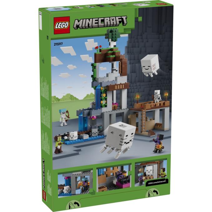 LEGO 21597