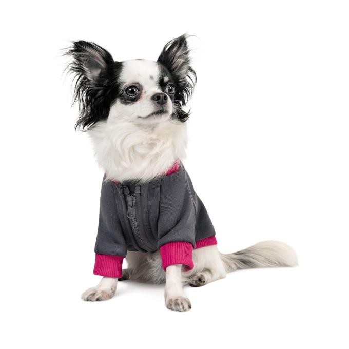 Pet Fashion 4823082430291
