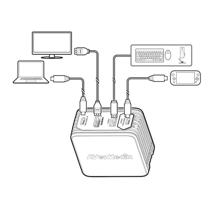 AVerMedia 40AAGC313AWN