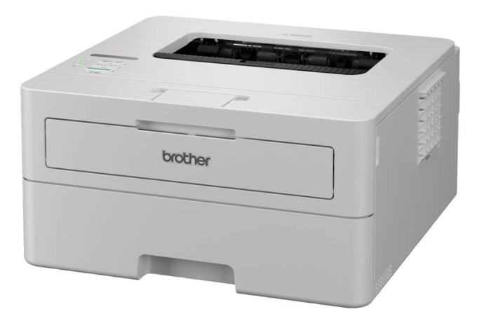 Brother HLB2180DWYJ1
