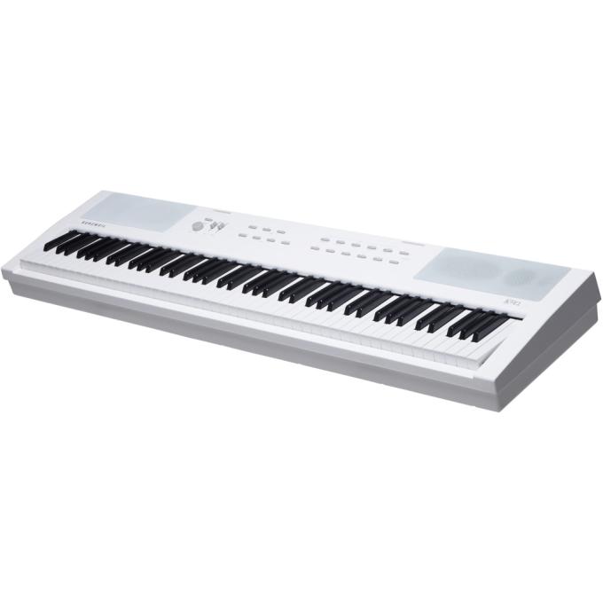 Kurzweil 530040
