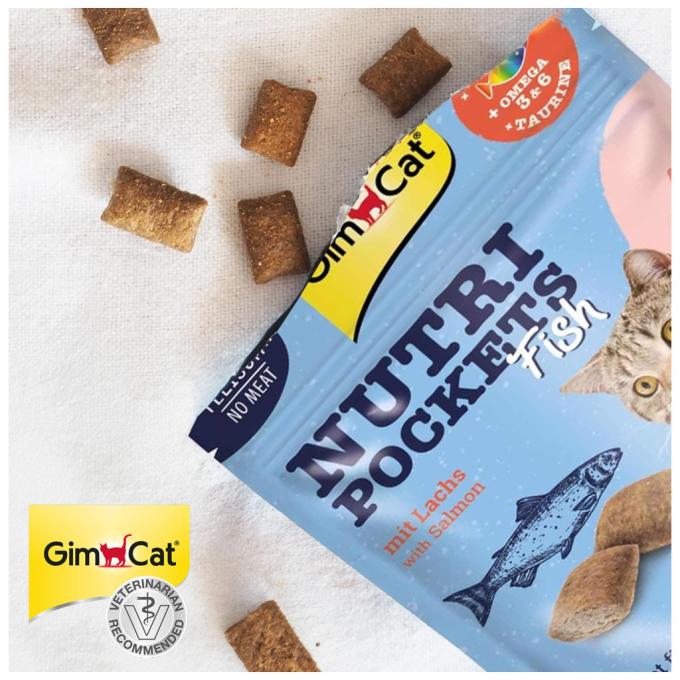 GimCat 4002064419626