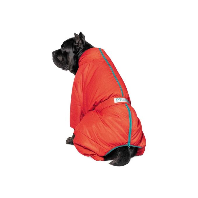 Pet Fashion 4823082426072