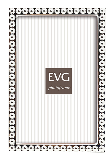 EVG S09 Silver