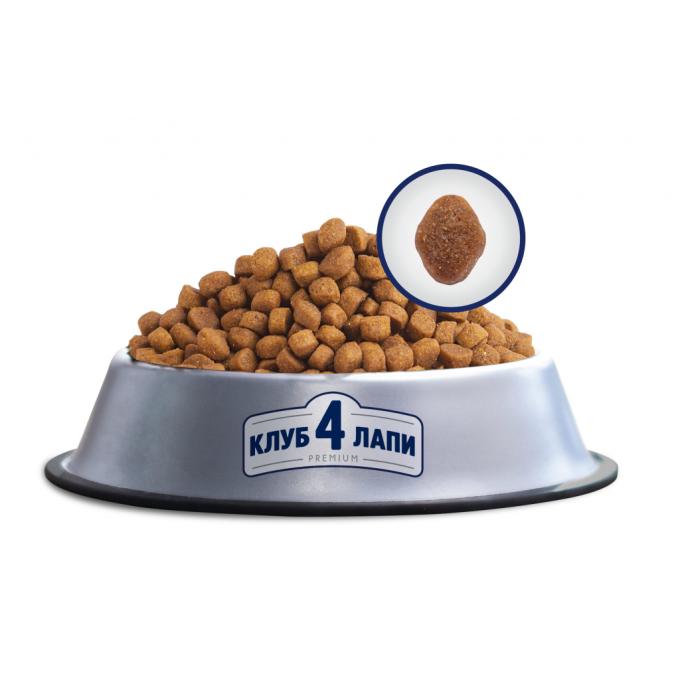 Club 4 Paws 4820083909436