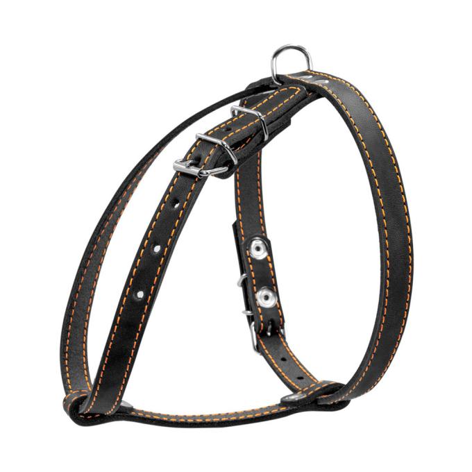 Collar 06341