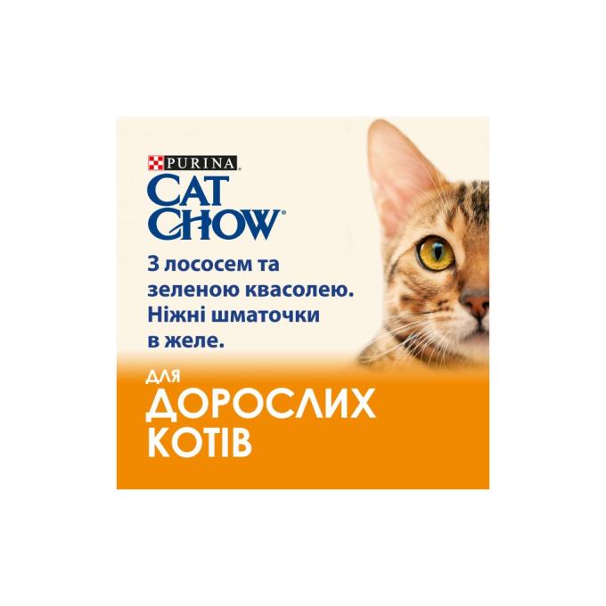 Purina Cat Chow 7613036595063