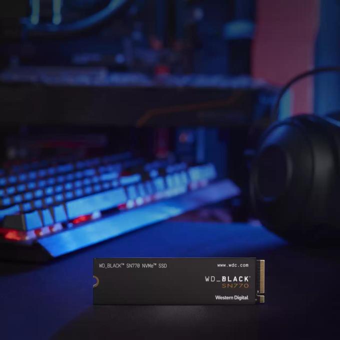 SANDISK WDS250G3X0E